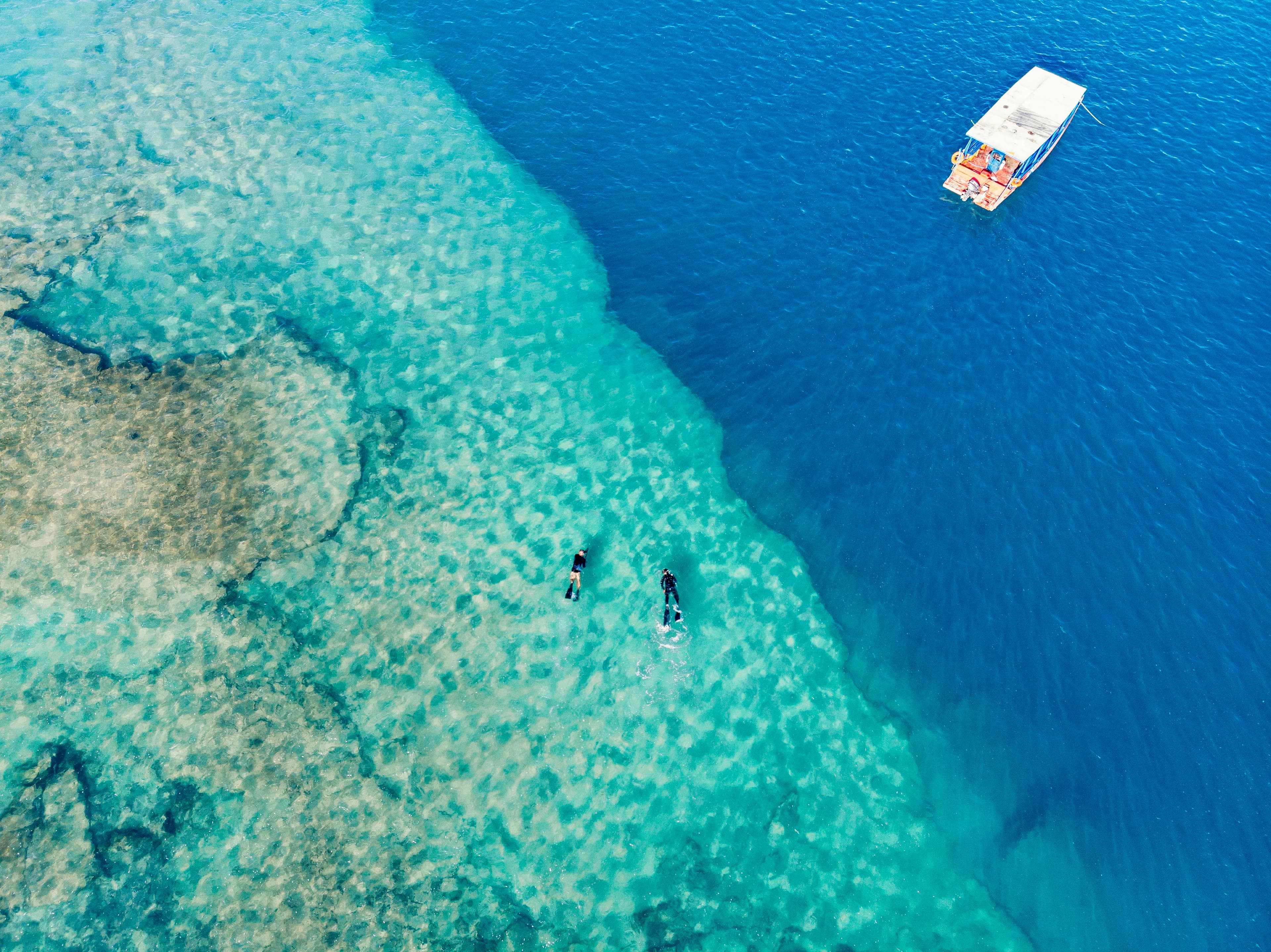 Exploradores no mar